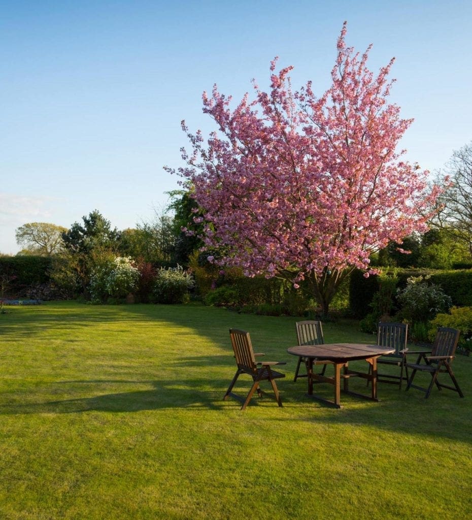 Developing the garden