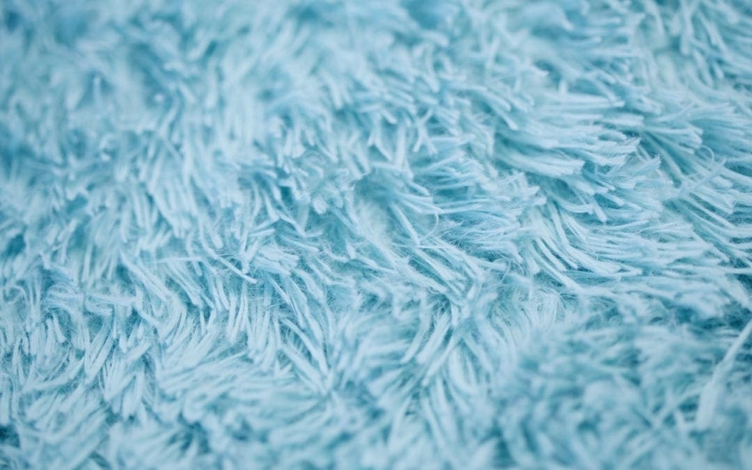 Landlords and carpets