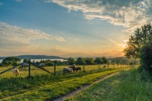 succession planning for your farming business