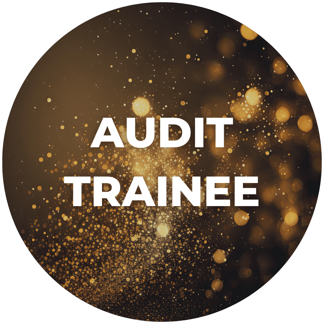 Vacancy circles (1) Accounts Senior - Job Description