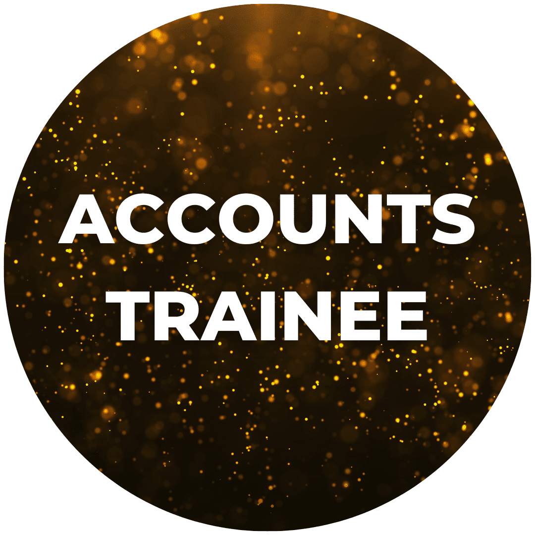 Vacancy circles Accounts Senior - Job Description